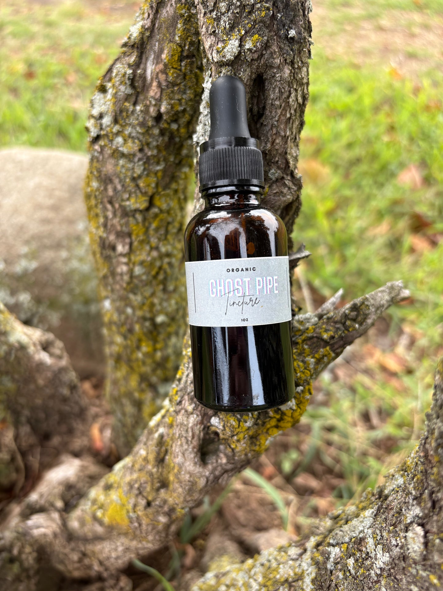 Ghost Pipe Tincture
