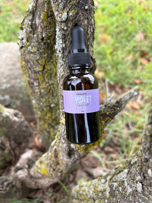 Violet Tincture