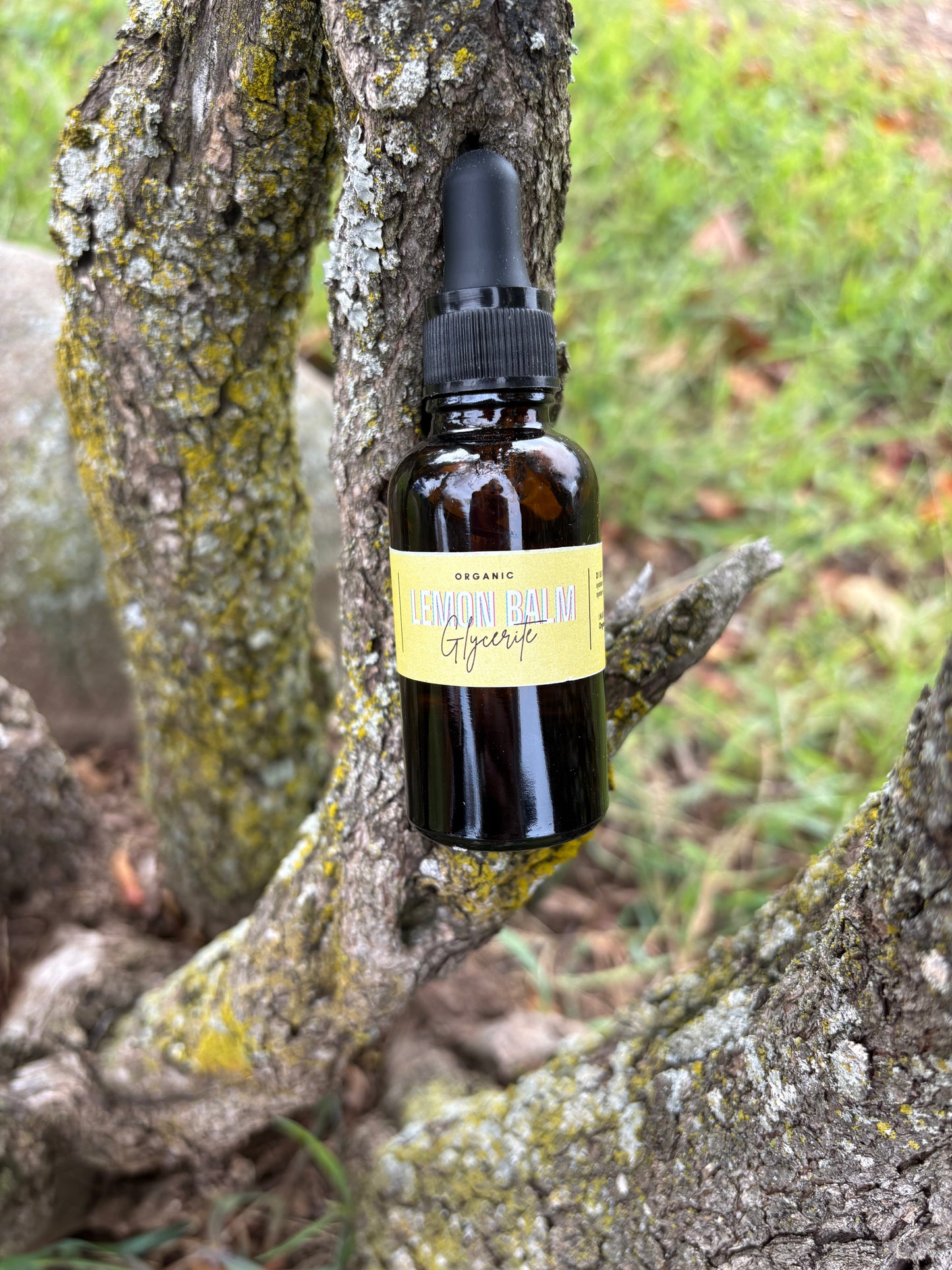 Lemon Balm Glycerite