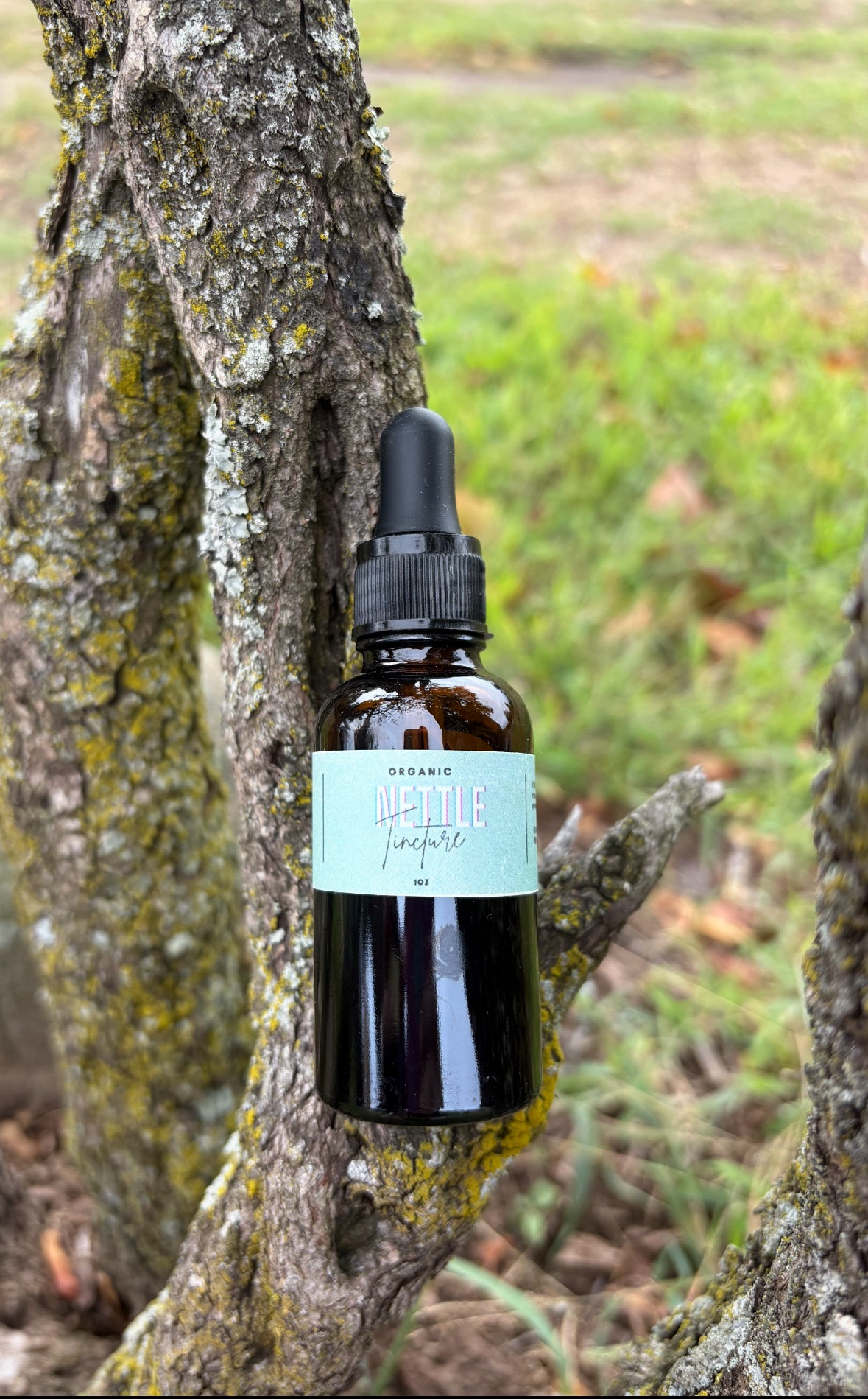 Nettle Tincture