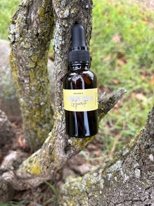 Lemon Balm Glycerite